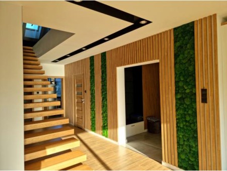 Panele z mchu na ścianę.jpg