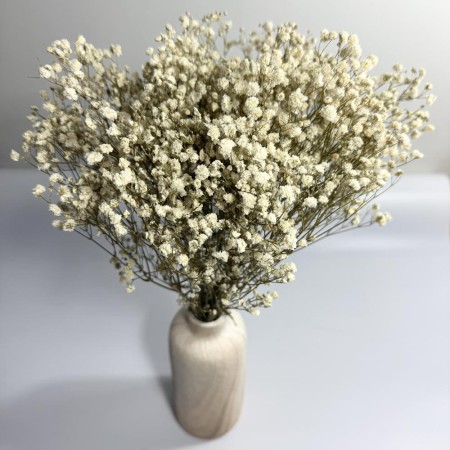 Gipsówka stabilizowana biała 100 g.jpg