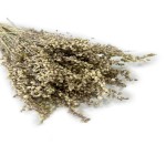 Drżączka suszona, Briza minima | naturalna | ok. 100 g