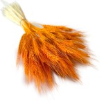 Pszenżyto suszone | pomarańczowe | ok. 100 g