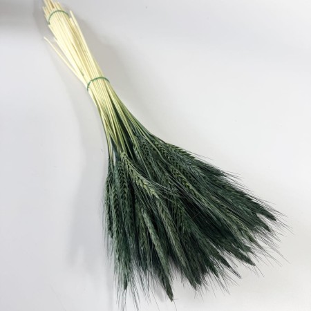 Pszenżyto suszone butelkowa zieleń.jpg