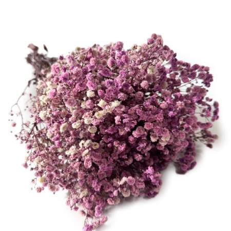 Wrzososwa gipsówka 100 gram.jpg