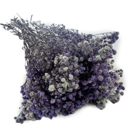 Przejdź do produktu Gipsówka stabilizowana | 50 g | średniofioletowa | PREMIUM