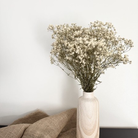 Gipsówka suszona stabilizowana biała.jpg