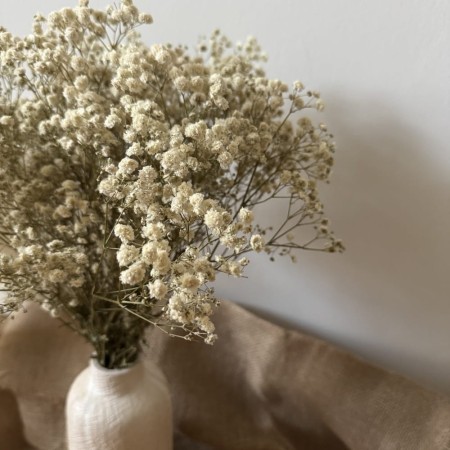 Gipsówka stabilizowana suszona biała.jpg