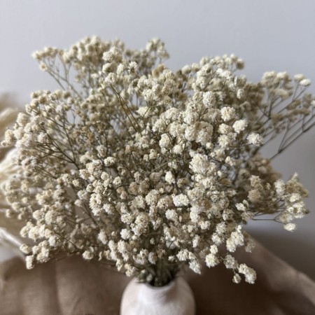 Gipsówka 50 gram biała stabilizowana suszona.jpg