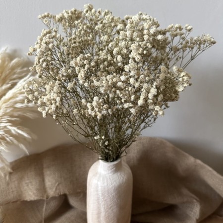 Gipsówka 50 gram biała stabilizowana.jpg