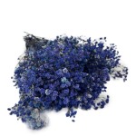 Gipsówka stabilizowana | 100 g | ciemnofioletowa | PREMIUM