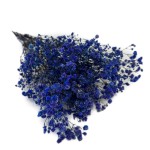 Gipsówka stabilizowana | 50 g | ciemnofioletowa | PREMIUM