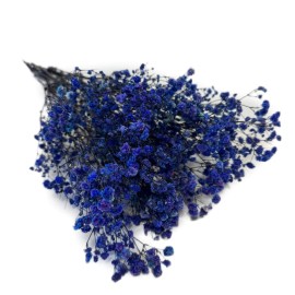 Przejdź do produktu Gipsówka stabilizowana | 50 g | ciemnofioletowa | PREMIUM