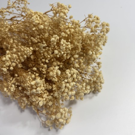 Gipsówka stabilizowana 100 gram kremowa.jpg