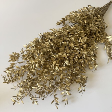 Ruskus złoty.jpg