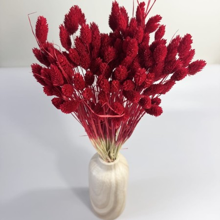 Kanar suszony czerwony.jpg