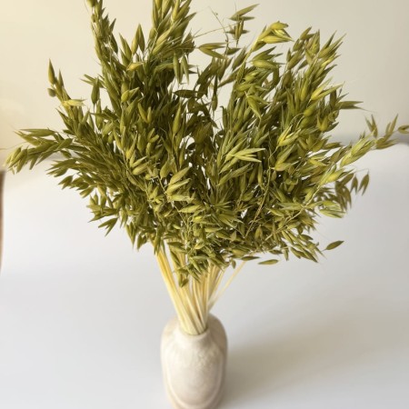 Seledynowy owies suszony.jpg