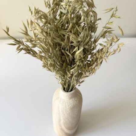 Naturalny owies suszony.jpg