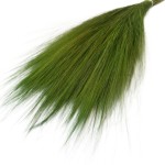 Trawa stabilizowana Barba | zielona | 100 g