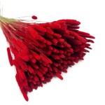 Tymotka (Phleum) suszona | czerwona | ok. 150 szt. | 60 cm