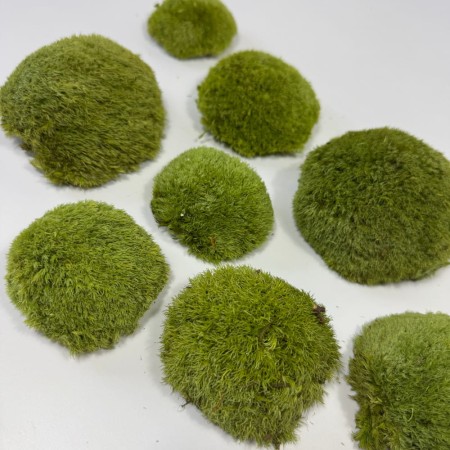 Mech poduszkowy dekoracyjny jasna zieleń stabilizowany.jpg