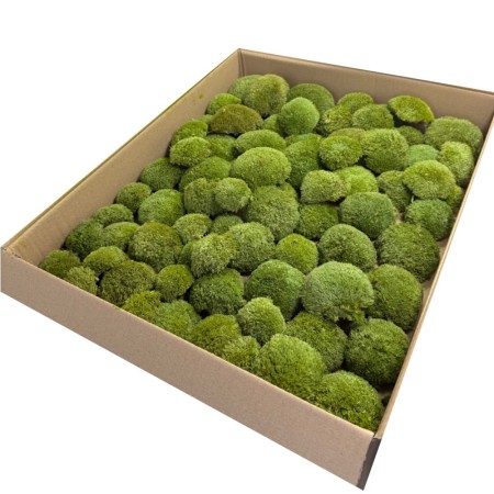 Mech poduszkowy jasna zieleń.jpg