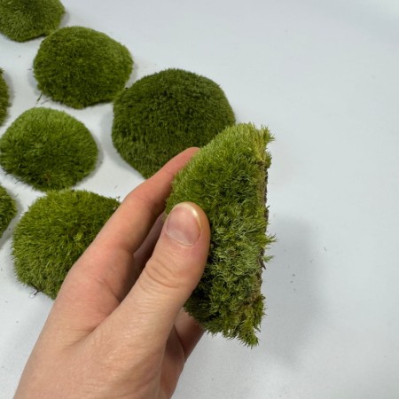 Mech poduszkowy stabilizowany dekoracyjny jasna zieleń.jpg