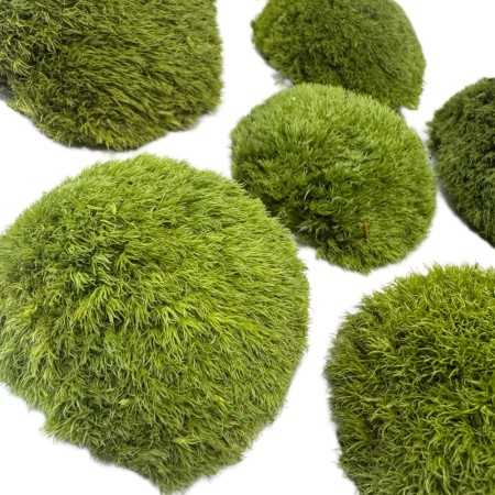 Mech poduszkowy dekoracyjny jasna zieleń.jpg