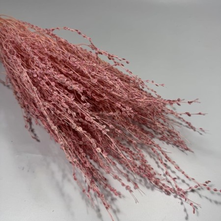 Lepidium różowe.jpg