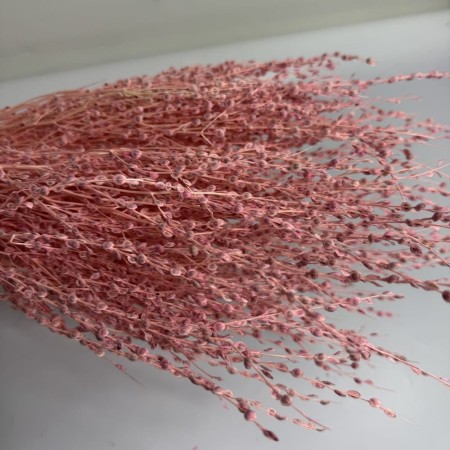 Lepidium suszone różowe.jpg