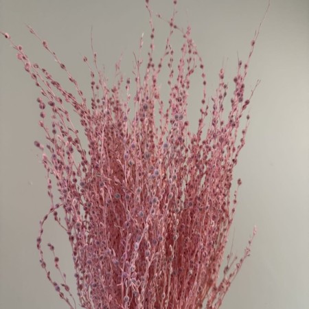 Suszone lepidium różowe.jpg