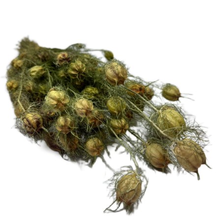 Czarnuszka naturalna.jpg