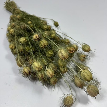 Czarnuszka suszona naturalna.jpg