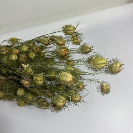 Naturalna czarnuszka suszona.jpg