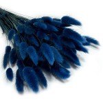 Dmuszek jajowaty (Lagurus) suszony | granatowy | ok. 150 szt. | 60 cm