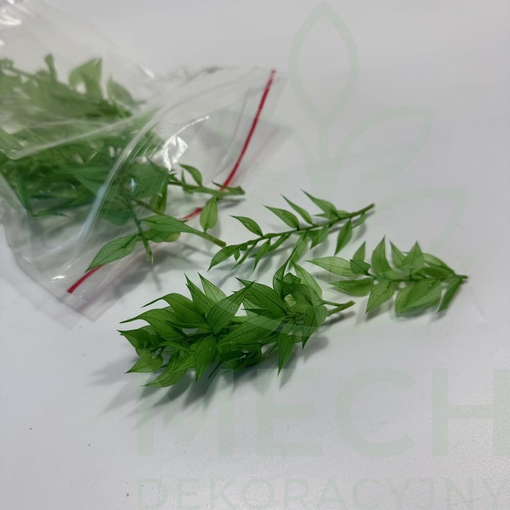 Średnia zieleń ruskus opakowanie.jpg