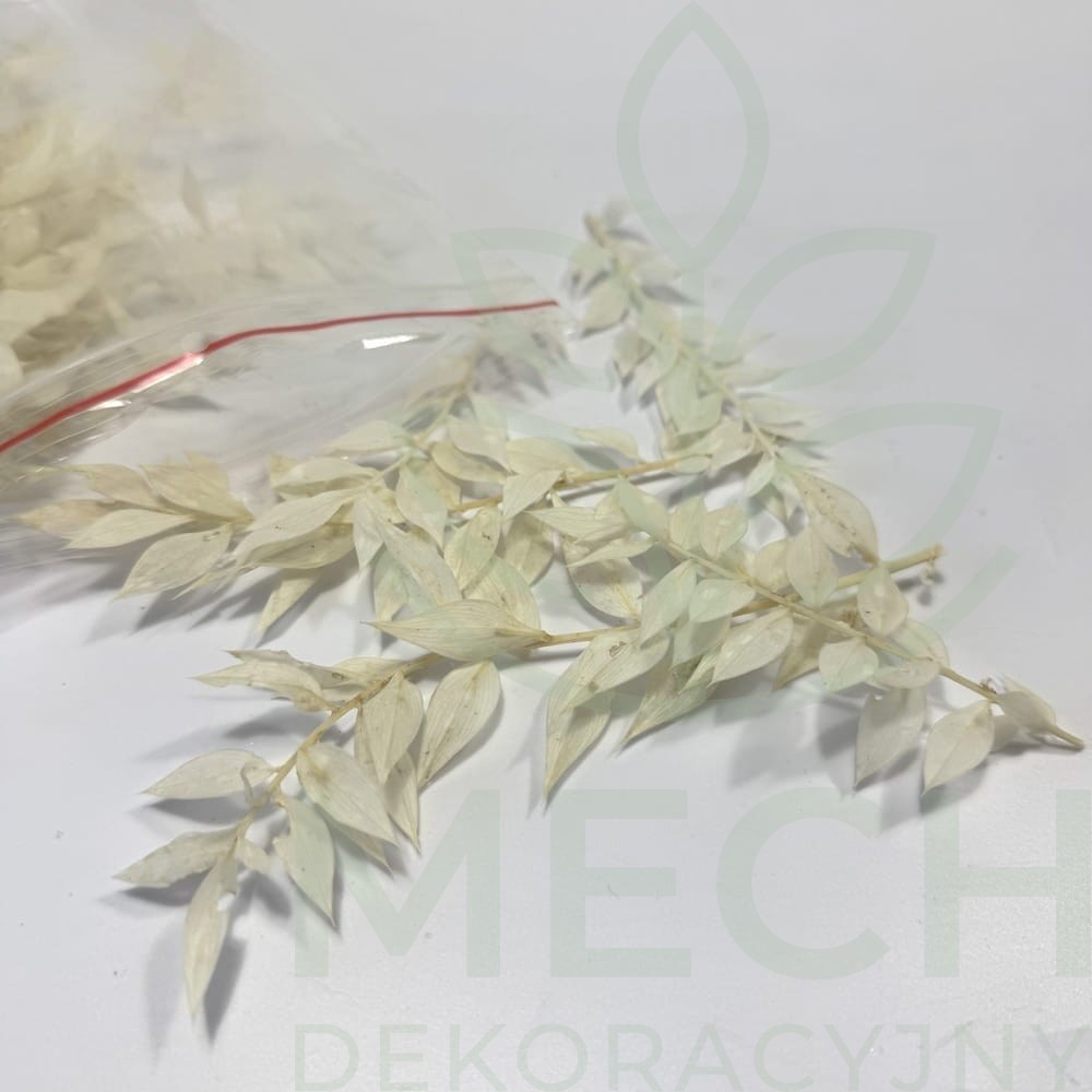 Ruskus biały opakowanie stabilizowany.jpg