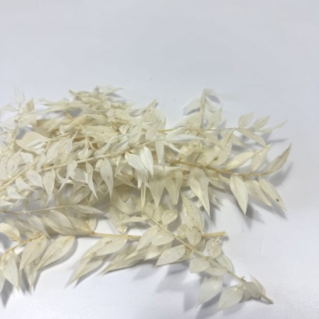 Stabilziowany ruskus biały opakowanie.jpg