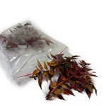 Ruskus stabilizowany | kolorowy | opakowanie