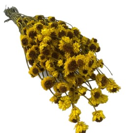 Przejdź do produktu Złociszek suszony wiekuistka | żółty | 80 g