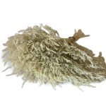 Zatrwian tatarski bielony (Limonium) | pęczek