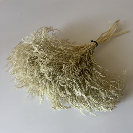 Zatrwian bielony tatarski.jpg