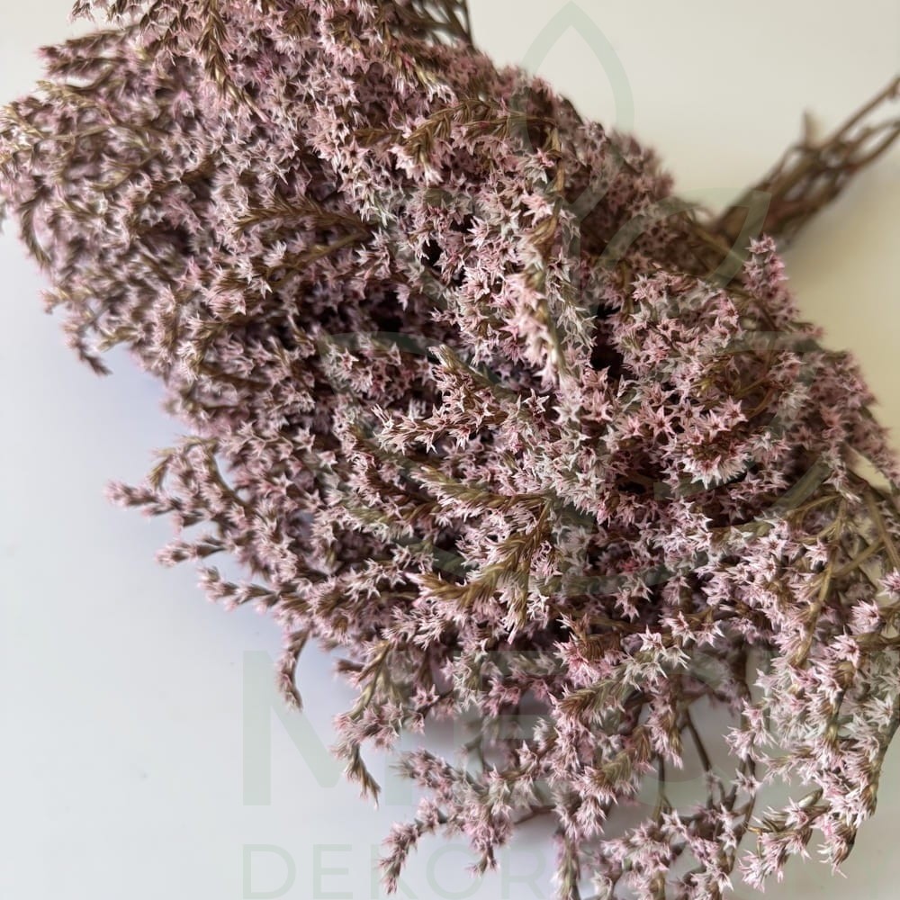 Zatrwian tatarski różowy suszony.jpg