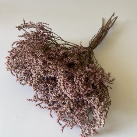 Zatrwian tatarski różowy.jpg