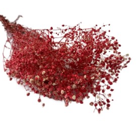 Przejdź do produktu Gipsówka suszona | 70 g | czerwona