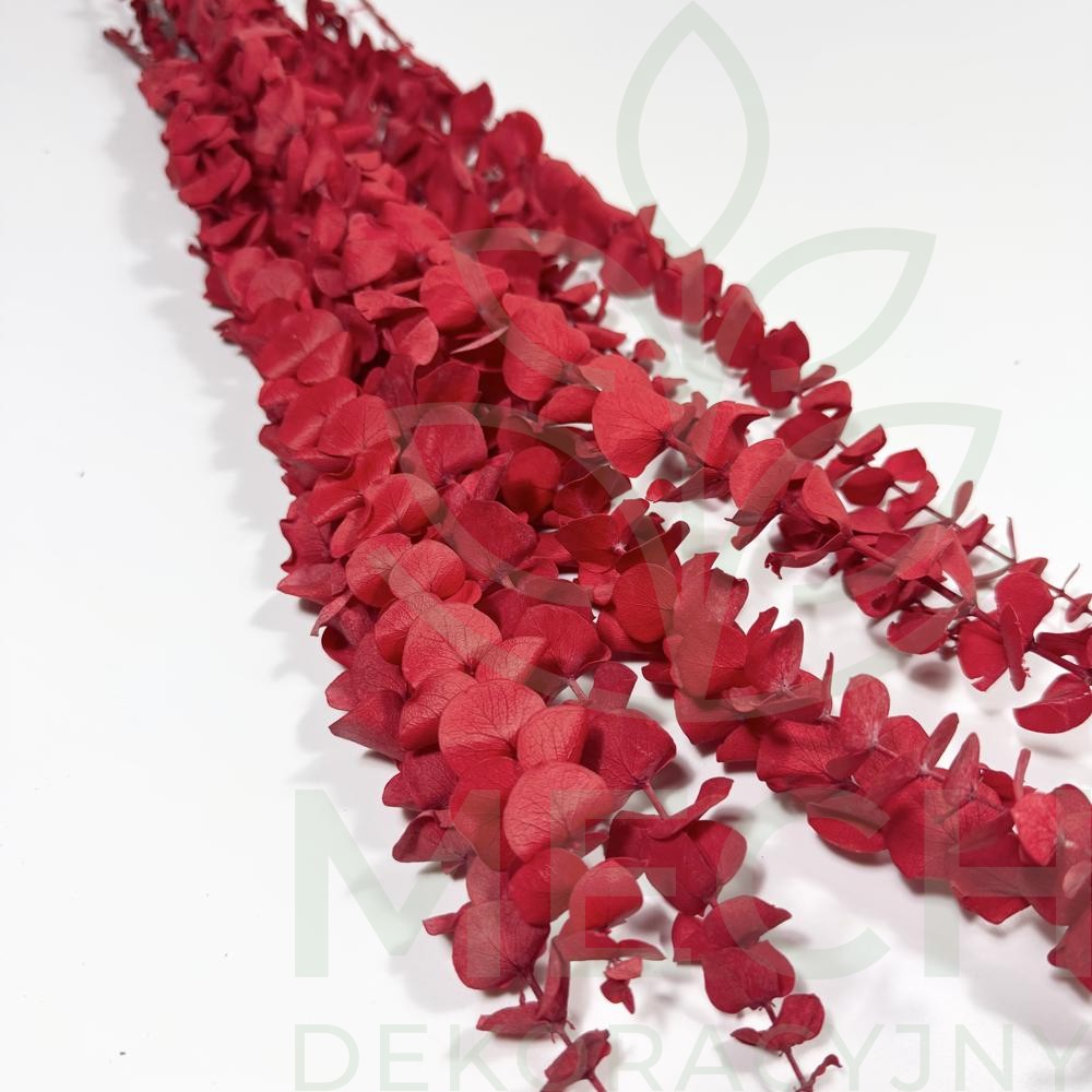 Eukaliptus spiral czerwony stabilizowany.jpg