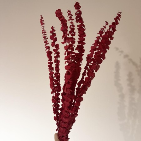 Eukaliptus stabilizowany spiral czerwony.jpg