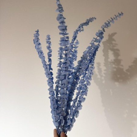 Stabilizowany eukaliptus spiral niebieski.jpg