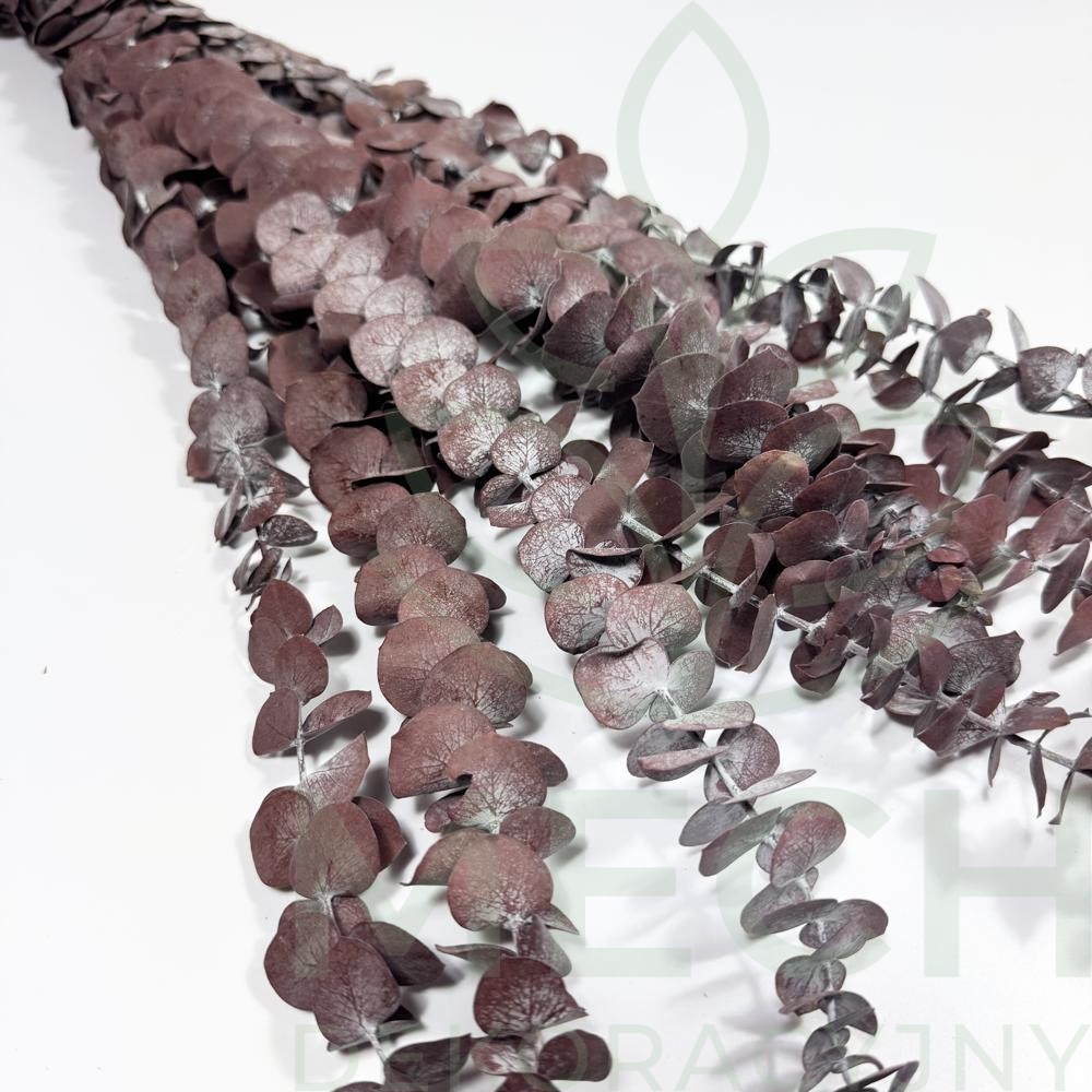 Eukaliptus stabilizowany spiral bordowy.jpg