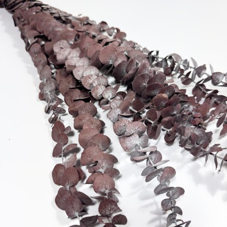 Eukaliptus stabilizowany spiral bordowy.jpg