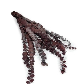 Przejdź do produktu Eukaliptus stabilizowany spiral | bordowy | 60 cm