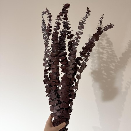 Stabilizowany eukaliptus spiral bordowy.jpg