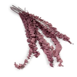 Przejdź do produktu Eukaliptus stabilizowany spiral | wrzosowy | 60 cm